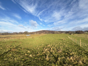 Plots 2 & 3, West of Coirebreac, Lower Inverroy, PH31 4AQ