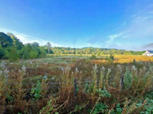 Plot West of Tigh Clovelly, Gairlochy, Spean Bridge, PH34 4EQ